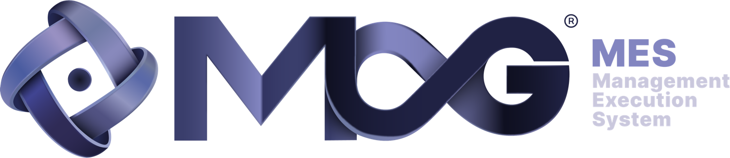 MAG MES — Management Execution System